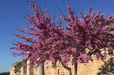 WhatsApp Image 2023-08-29 at 15.53.36.jpeg